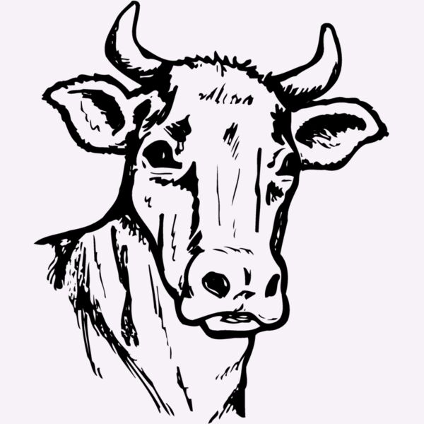 COW006 Thumbnail