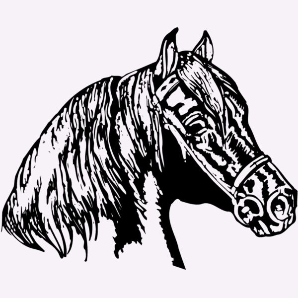 HORSE002 Thumbnail
