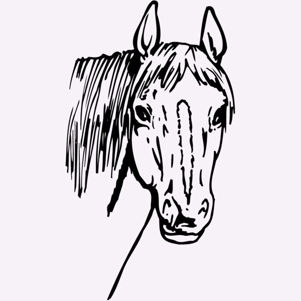 HORSE003 Thumbnail