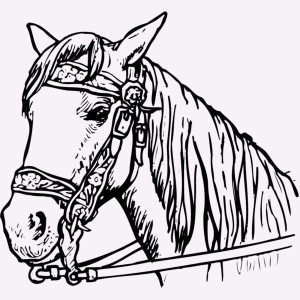 HORSE005 Thumbnail