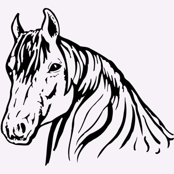 HORSE006 Thumbnail
