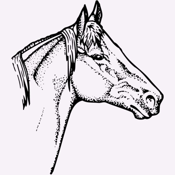 HORSE010 Thumbnail