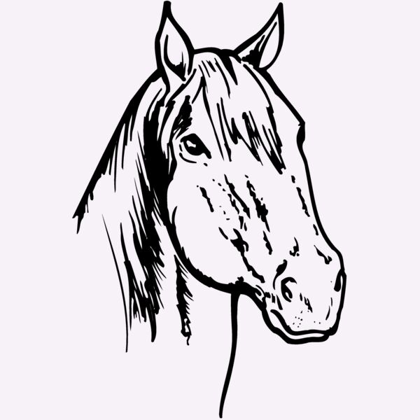 HORSE011 Thumbnail