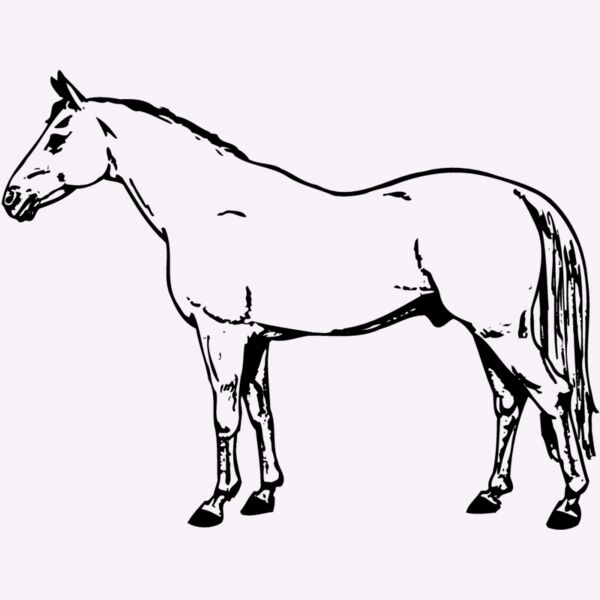 HORSE017 Thumbnail