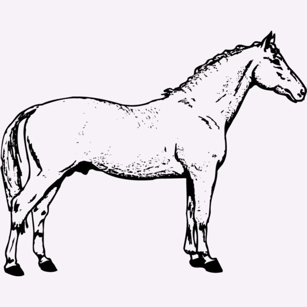 HORSE019 Thumbnail
