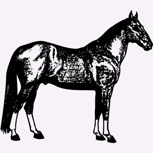 HORSE054 Thumbnail