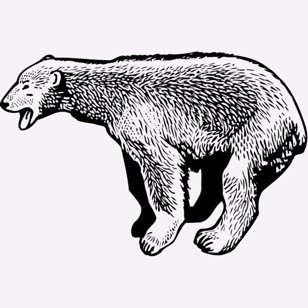 BEAR014_ Thumbnail