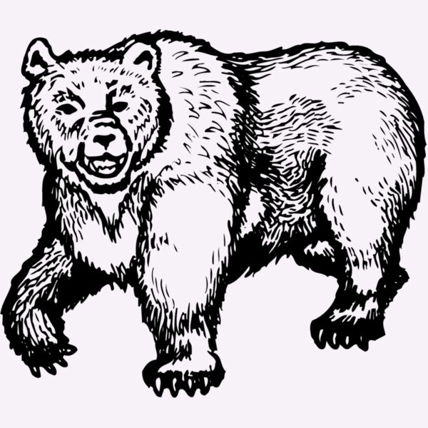 BEAR015 Thumbnail