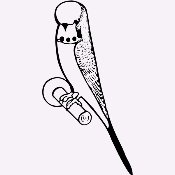 BIRD016 Thumbnail