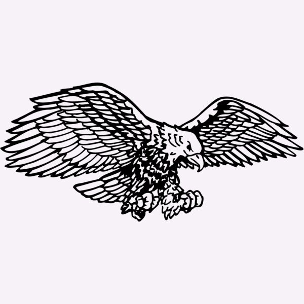 EAGLE003 Thumbnail