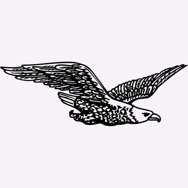 EAGLE006 Thumbnail