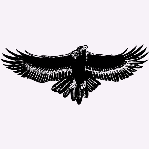 EAGLE010 Thumbnail