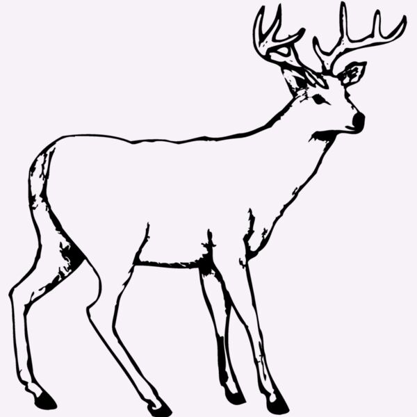 DEER002 Thumbnail