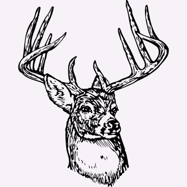 DEER006 Thumbnail