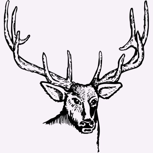 DEER007 Thumbnail