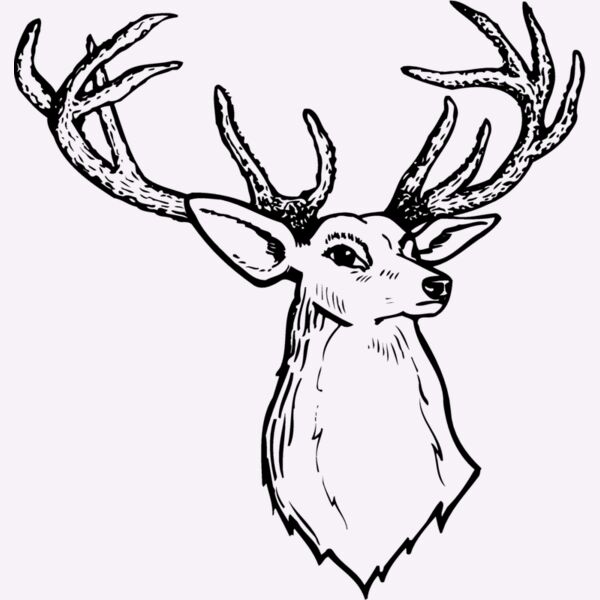 DEER008 Thumbnail