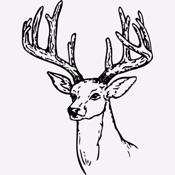 DEER009 Thumbnail