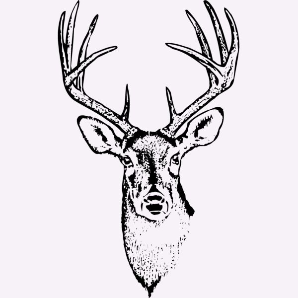 DEER010 Thumbnail