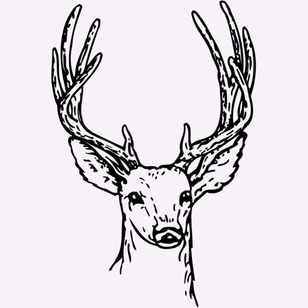 DEER011 Thumbnail
