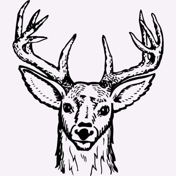 DEER012 Thumbnail