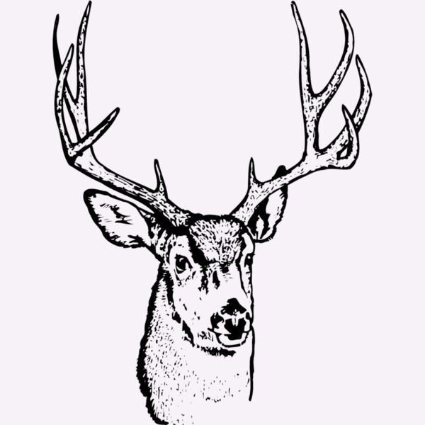 DEER016 Thumbnail