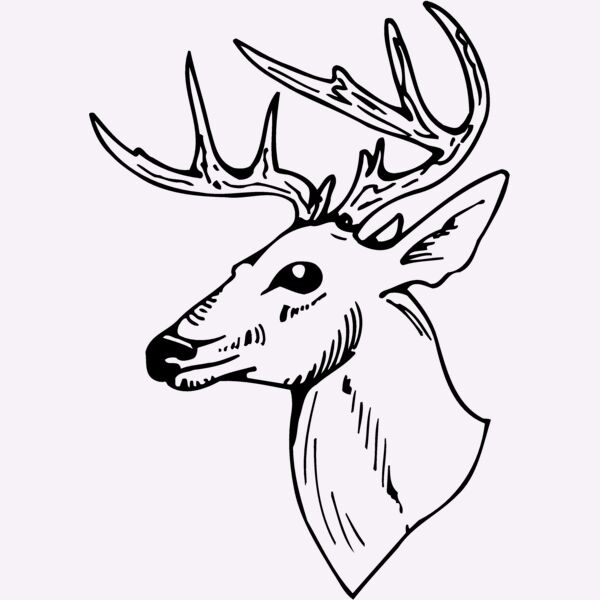 DEER018 Thumbnail