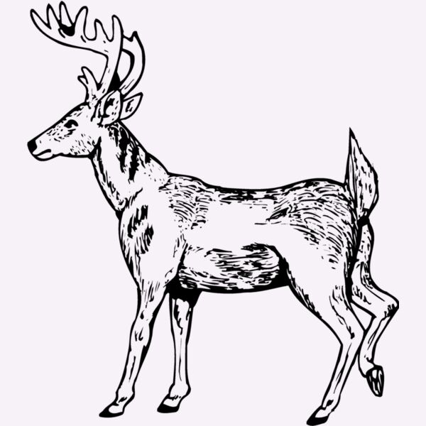 DEER019 Thumbnail