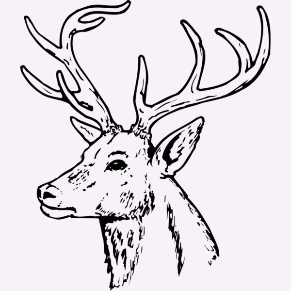DEER022 Thumbnail