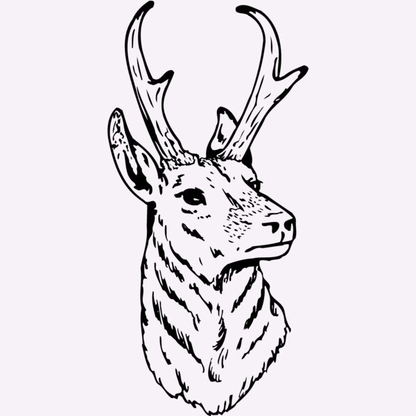 DEER023 Thumbnail