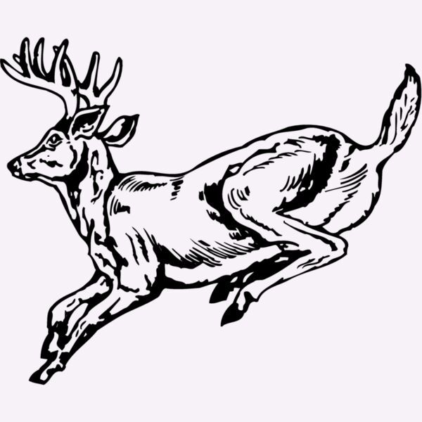 DEER027 Thumbnail