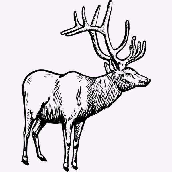 DEER028 Thumbnail