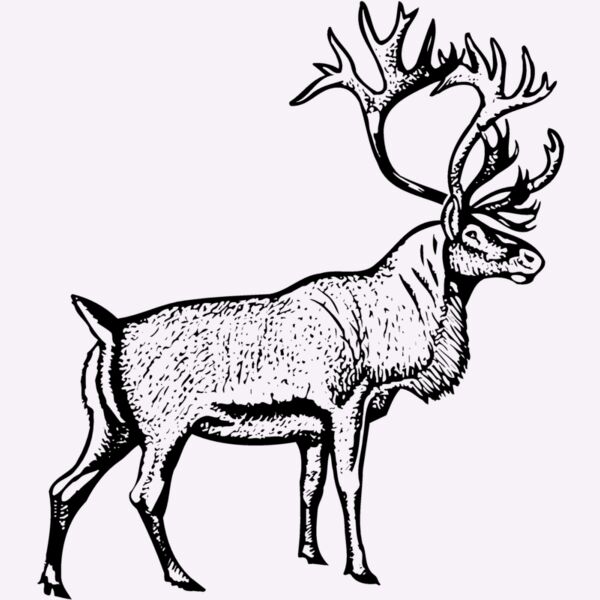 DEER030 Thumbnail