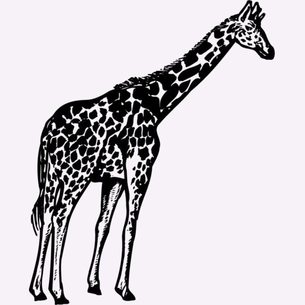 GIRAFF02 Thumbnail