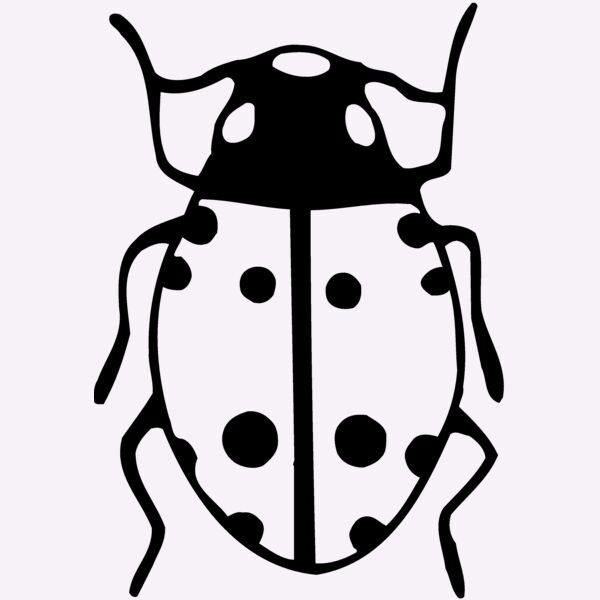 BEETLE03 Thumbnail