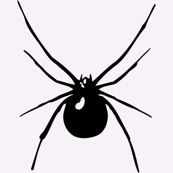 SPIDER03 Thumbnail