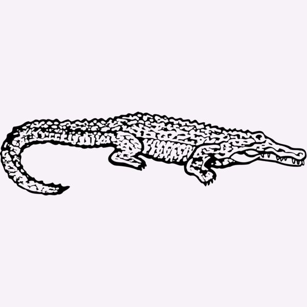 GATOR02 Thumbnail