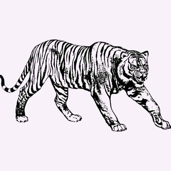 TIGER005 Thumbnail