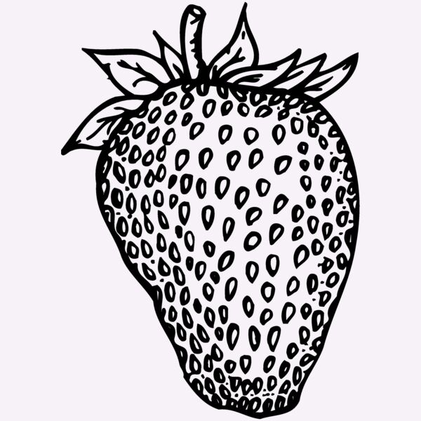 FRUIT010 Thumbnail