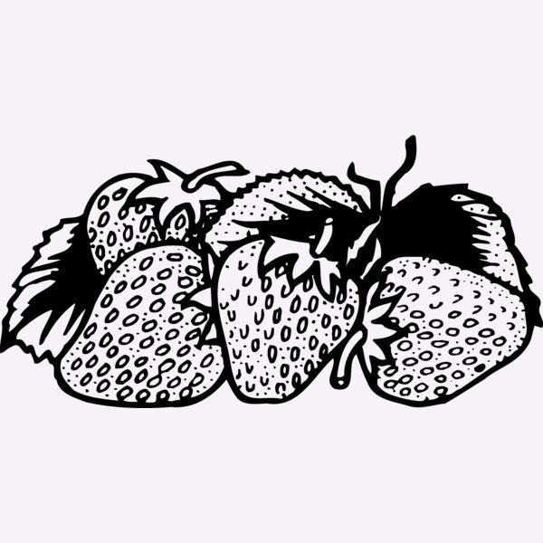 FRUIT038 Thumbnail