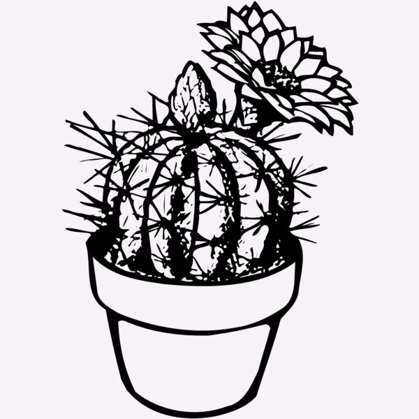 CACTUS01 Thumbnail