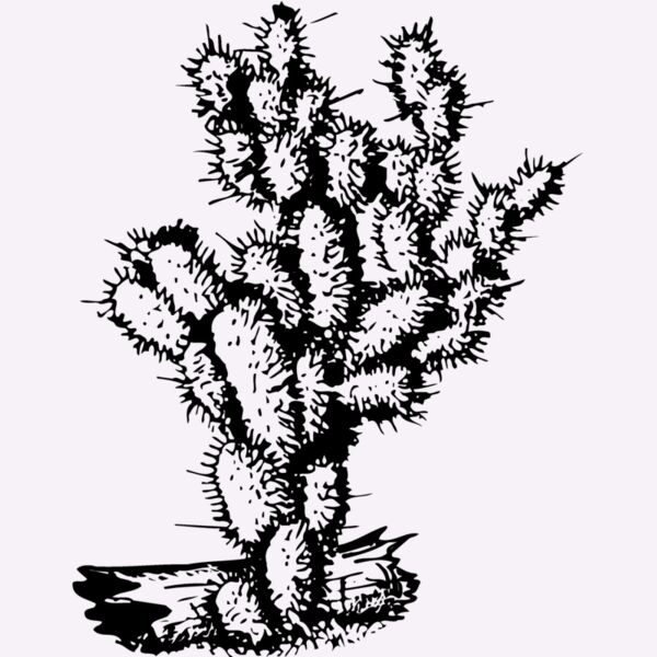 CACTUS09 Thumbnail